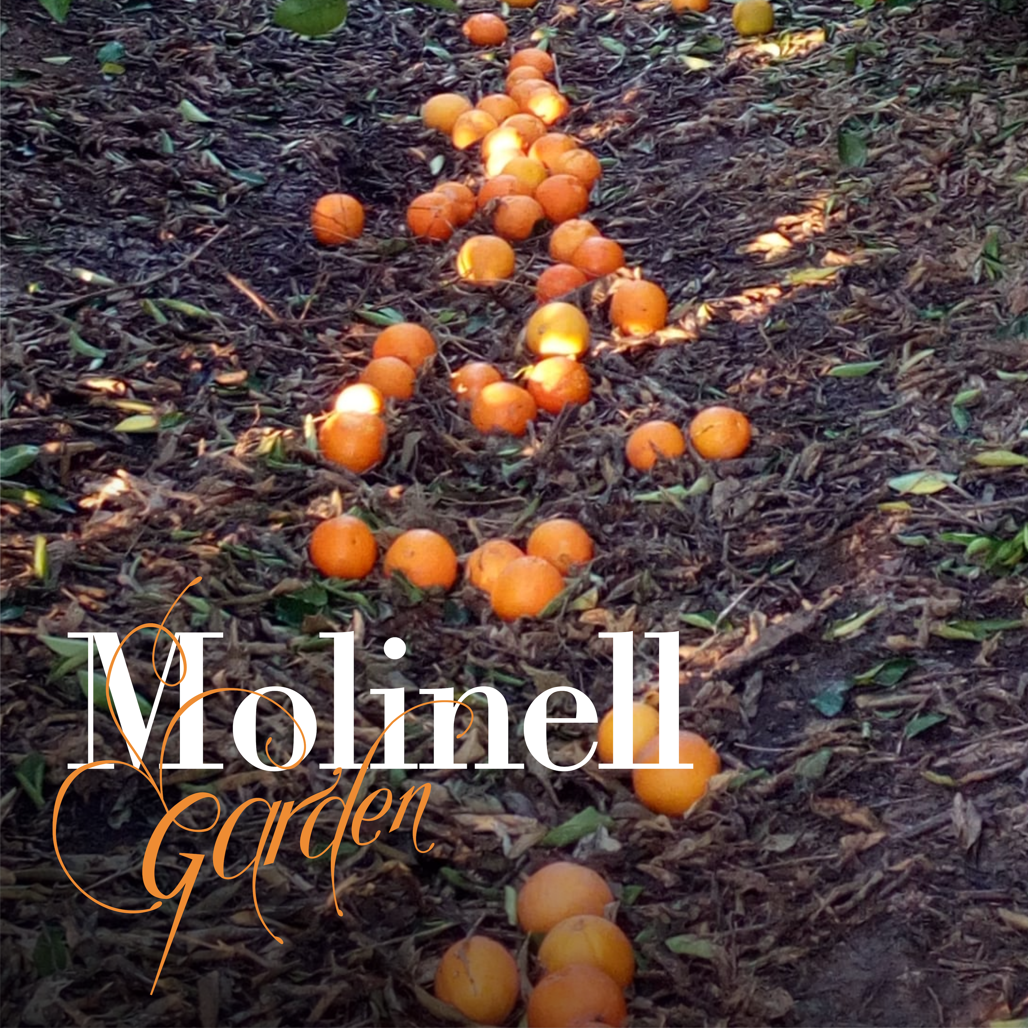 Molinell Garden